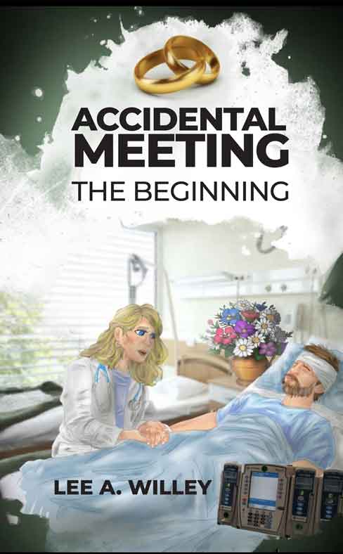 Accidental Meeting: The Beginning