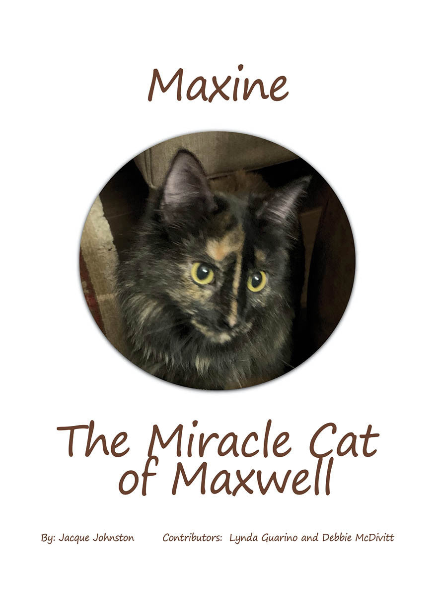 Maxine The Miracle Cat Of Maxwell