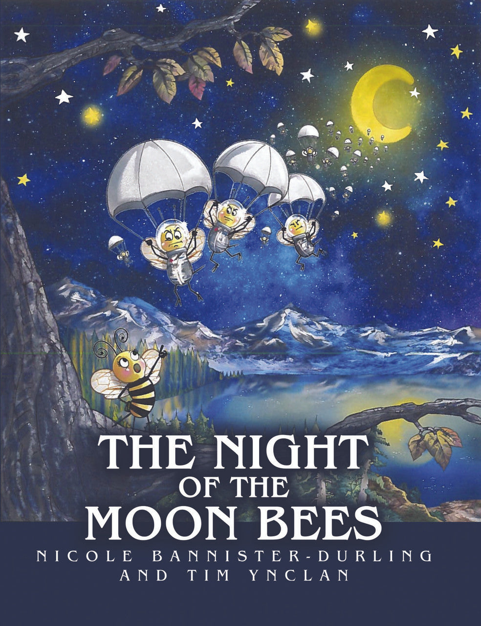 The Night Of The Moon Bees – Dorrance Bookstore