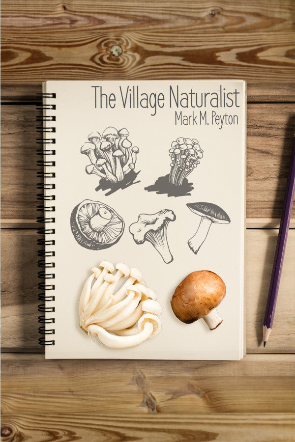 The Village Naturalist