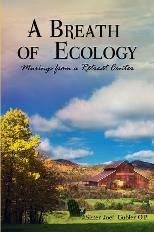 A Breath Of Ecology: Musings From A Retreat Center