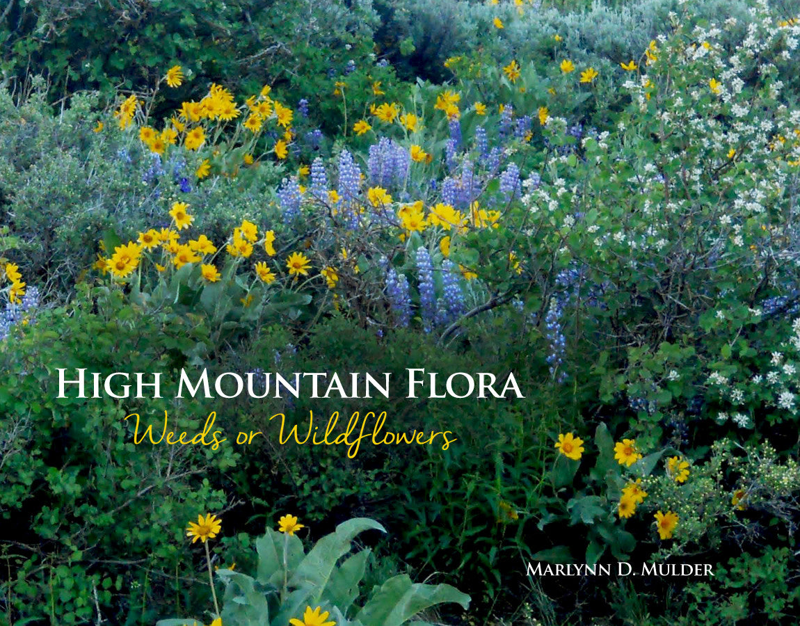 High Mountain Flora: Weeds Or Wildflowers