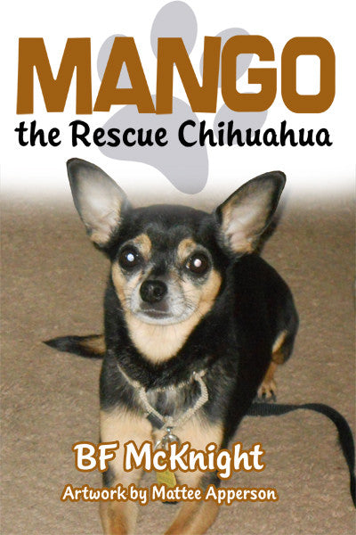 Mango The Rescue Chihuahua