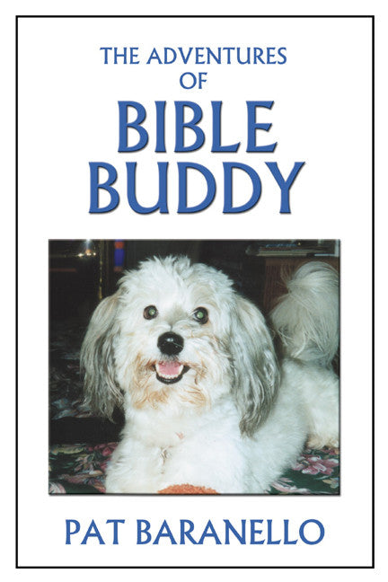 The Adventures Of Bible Buddy