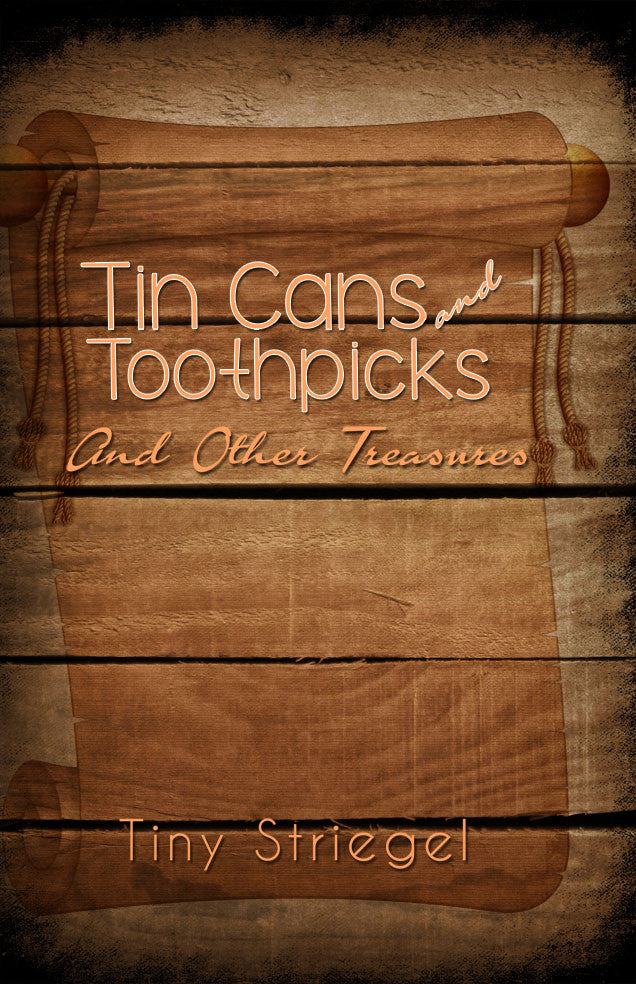 Tin Cans And Toothpicks And Other Treasures