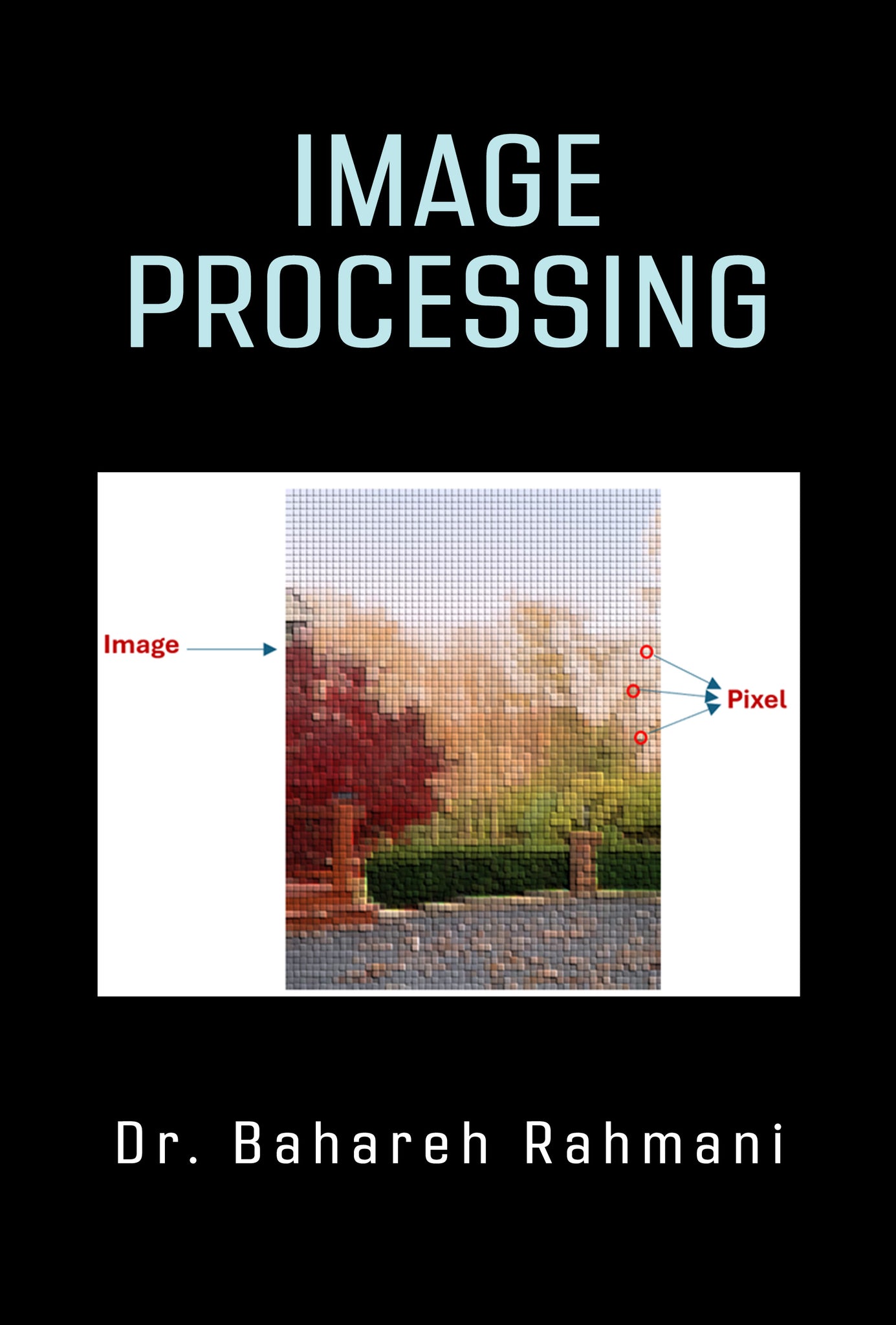 Image Processing
