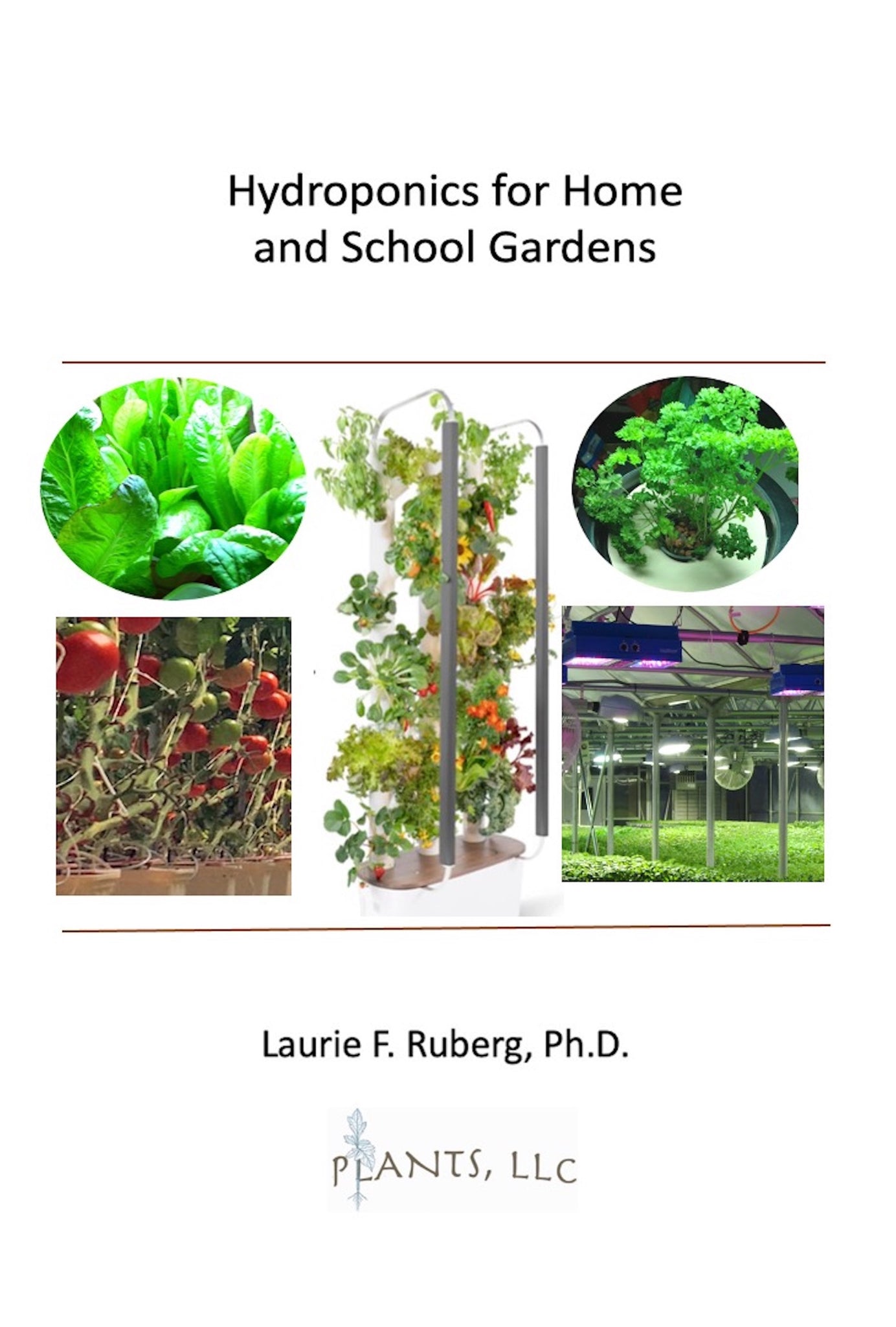 Hydroponics for Home and School Gardening