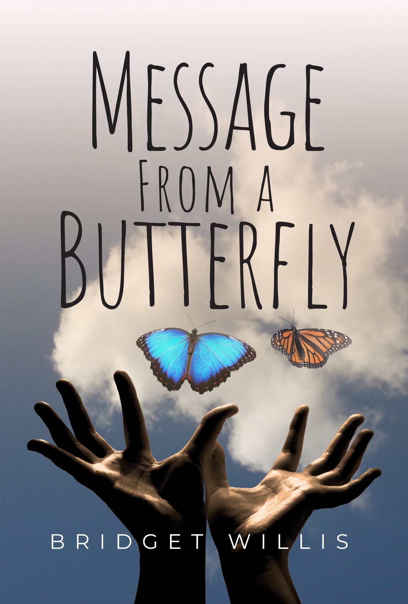 Message From a Butterfly