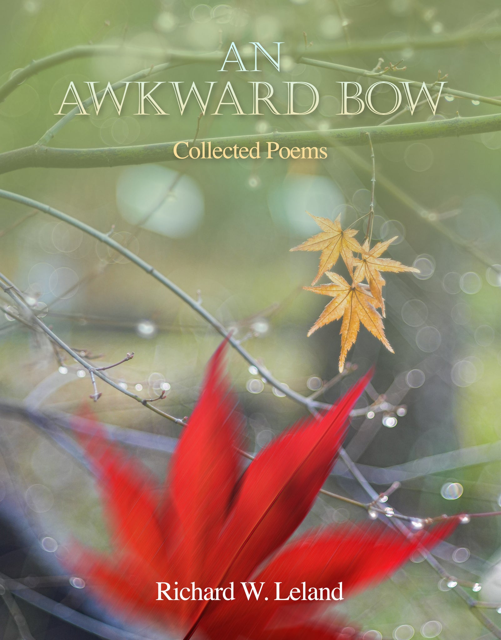 An Awkward Bow: Poems