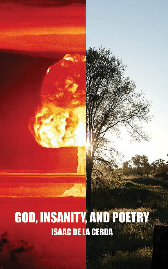 God, Insanity, And Poetry