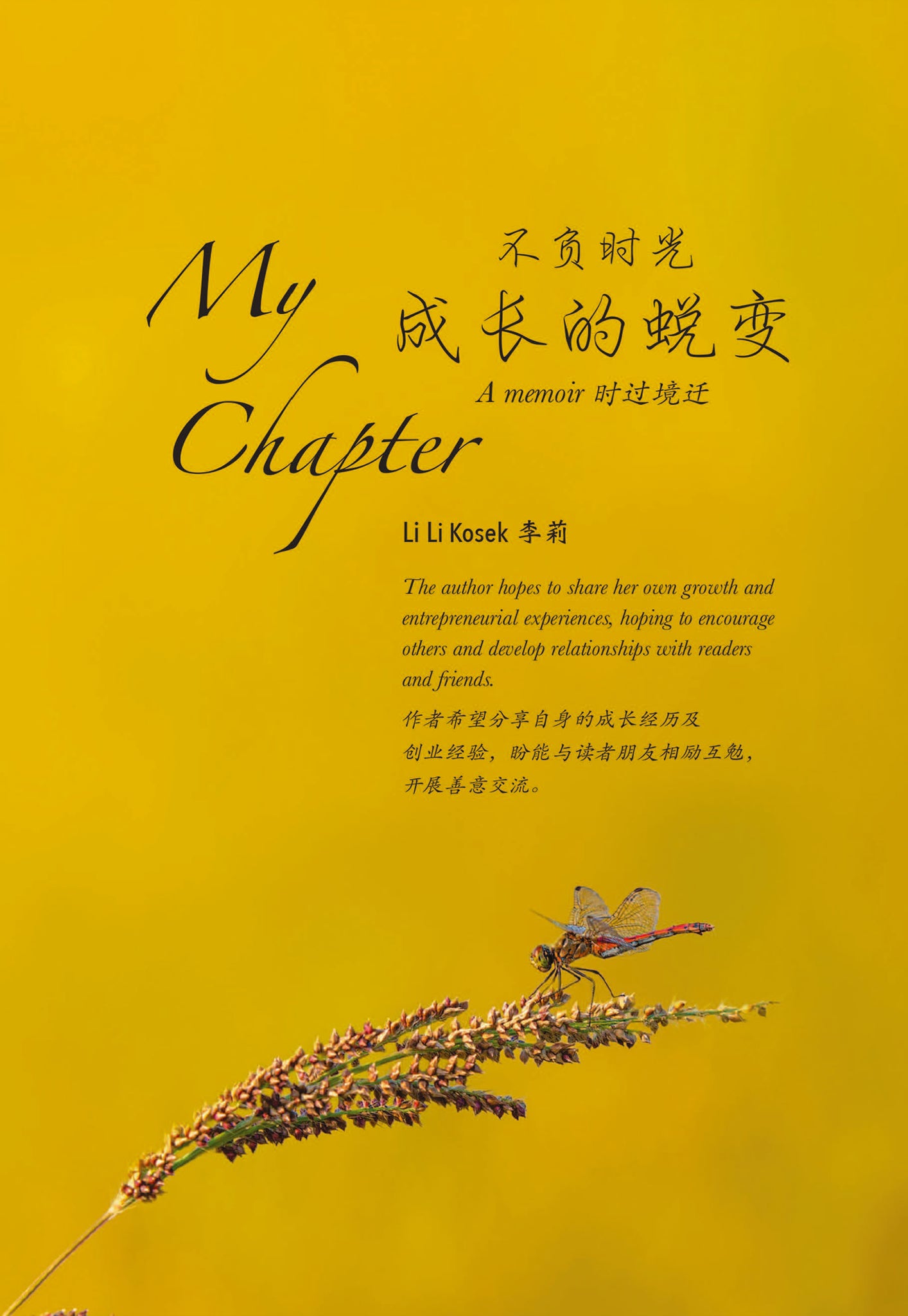 Me Chapter Book My Chapter – Dorrance Bookstore