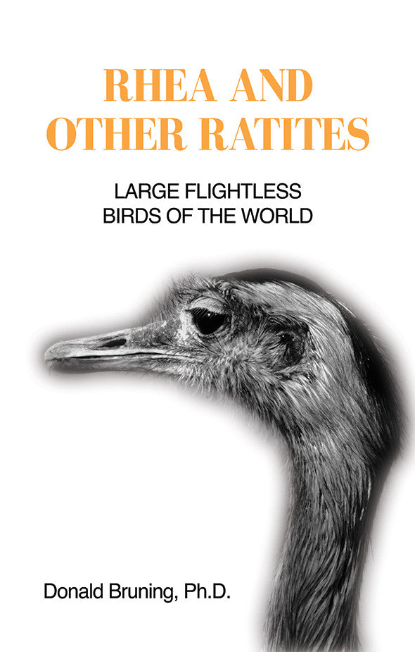 Rhea And Other Ratites: Large Flightless Birds Of The World