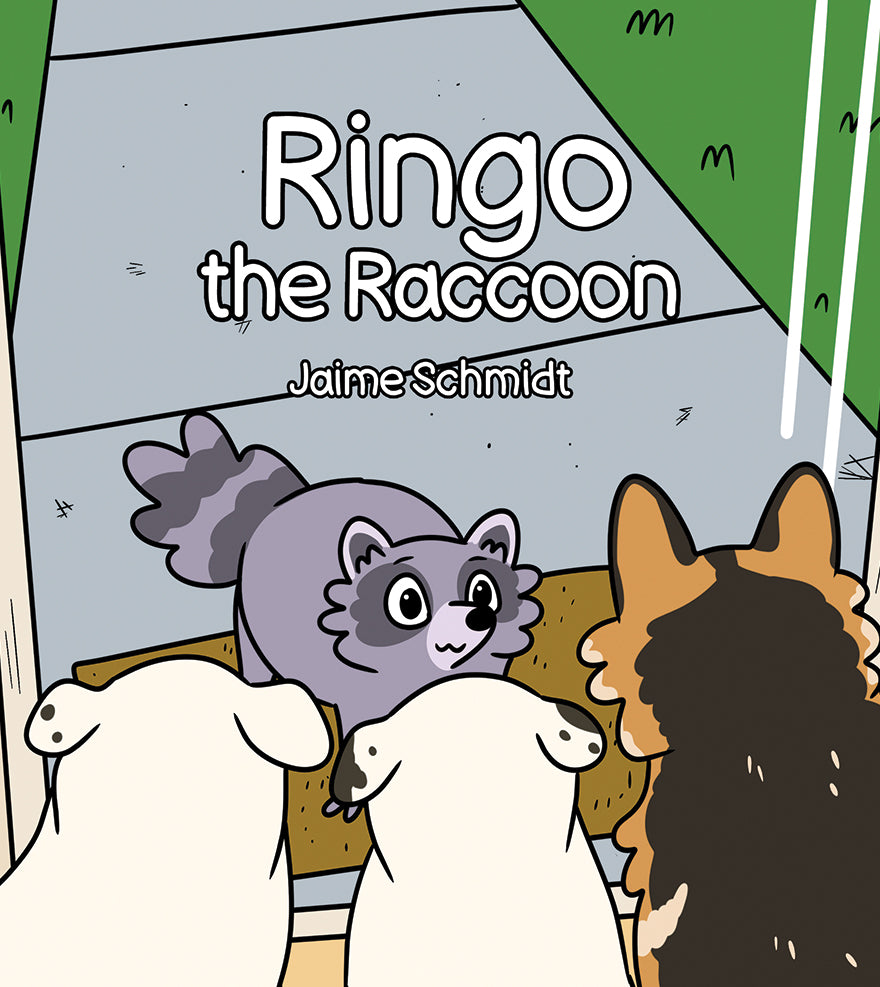 Ringo Raccoon Ringo the Raccoon – Dorrance Bookstore