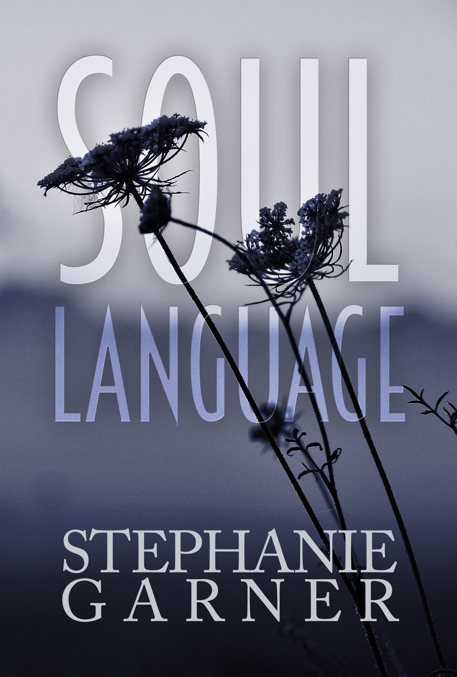 Soul Language – Dorrance Bookstore