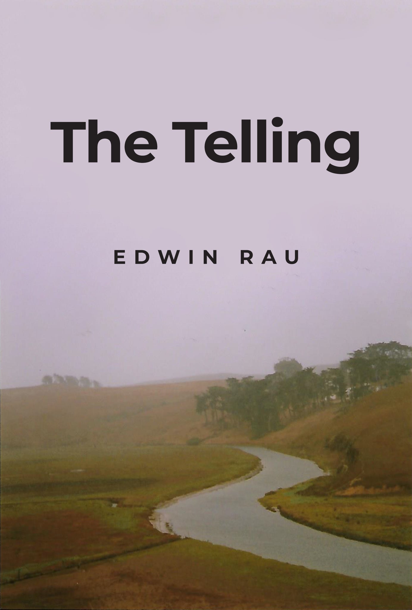 Stephen Telling The Telling – Dorrance Bookstore