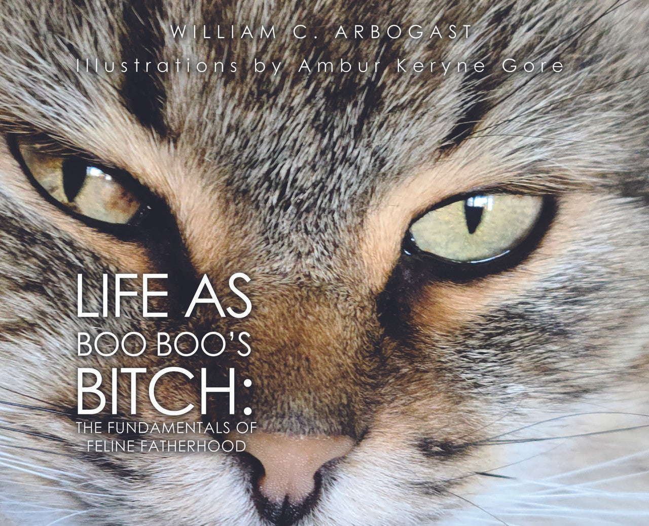 Life As Boo Boo's Bitch: The Fundamentals Of Feline Fatherhood