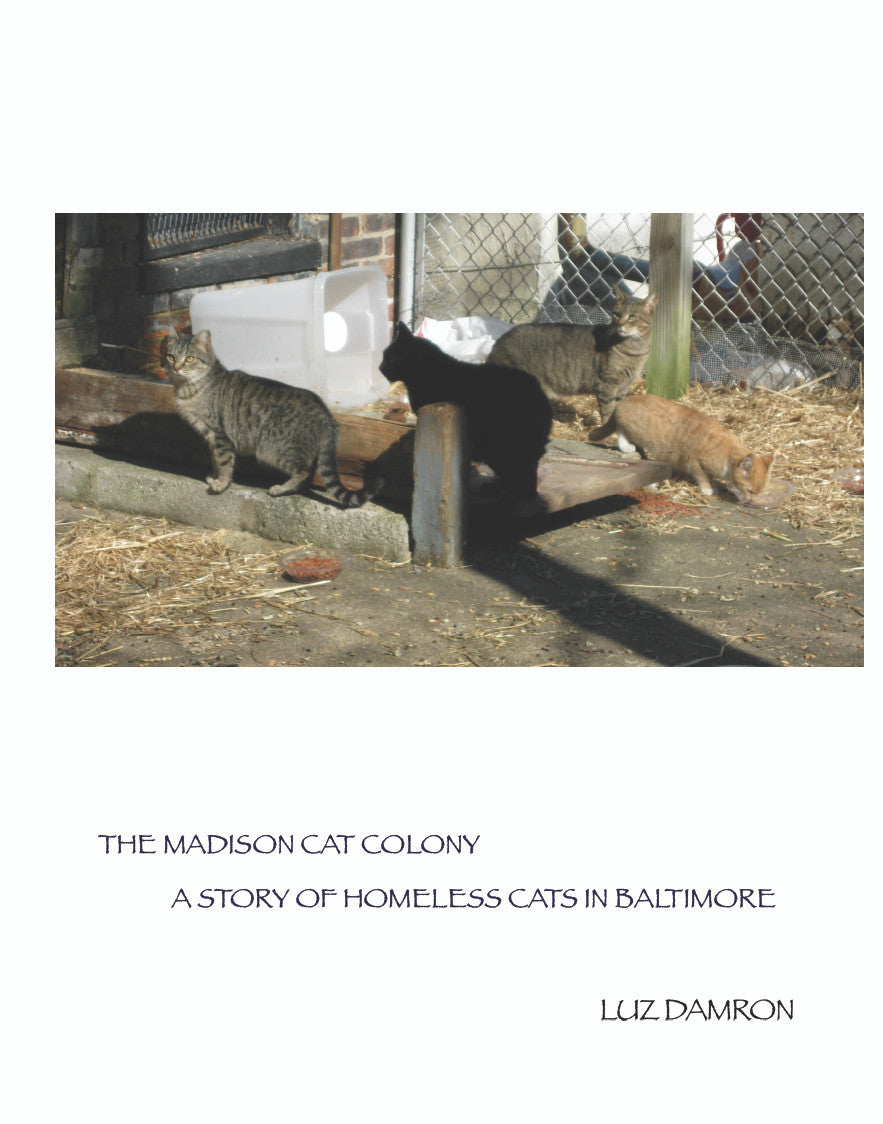 The Madison Cat Colony: A Story Of Homeless Cats In Baltimore