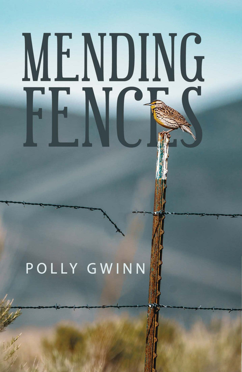 Mending Fences