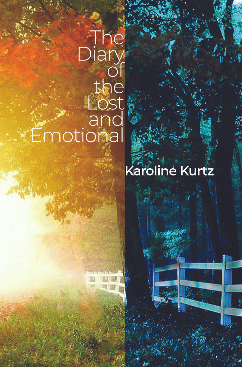 The Diary Of The Lost And Emotional