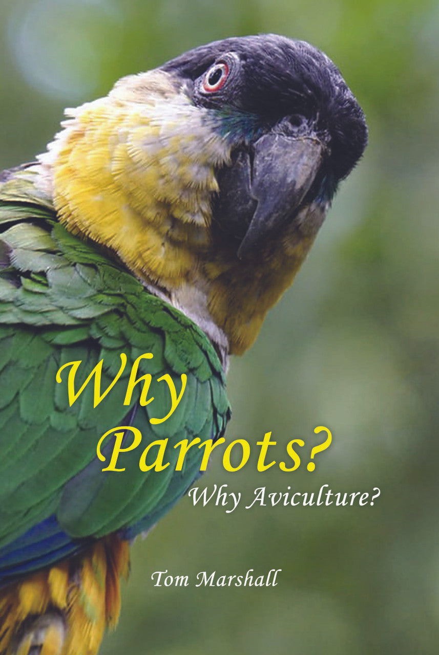 Why Parrots? Why Aviculture?