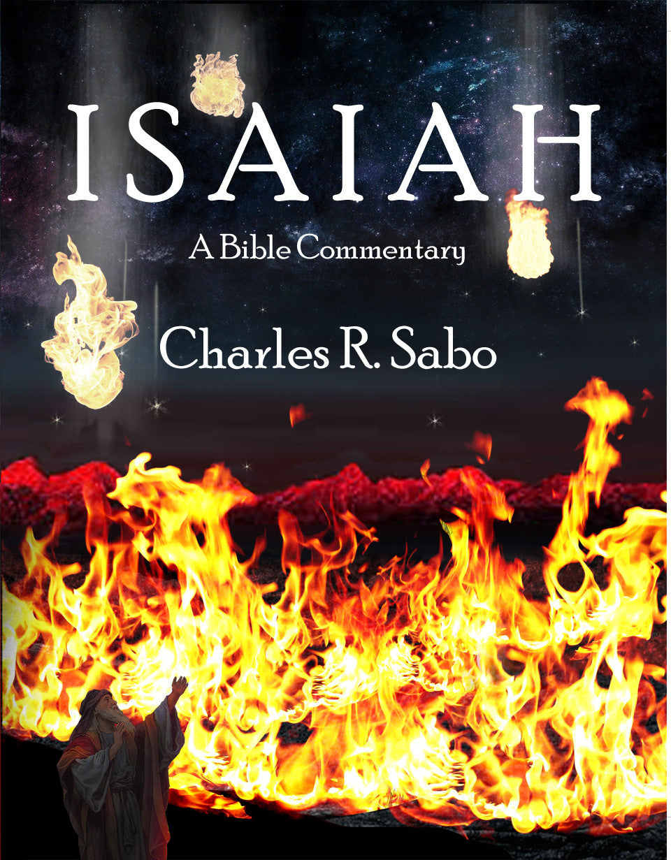 Isaiah: A Bible Commentary – Dorrance Bookstore