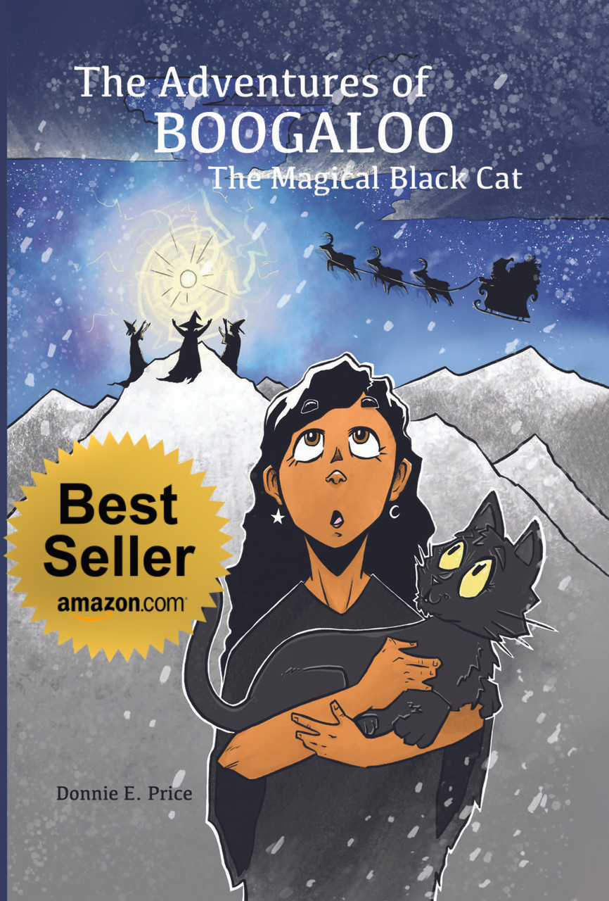 The Adventures Of Boogaloo The Magical Black Cat