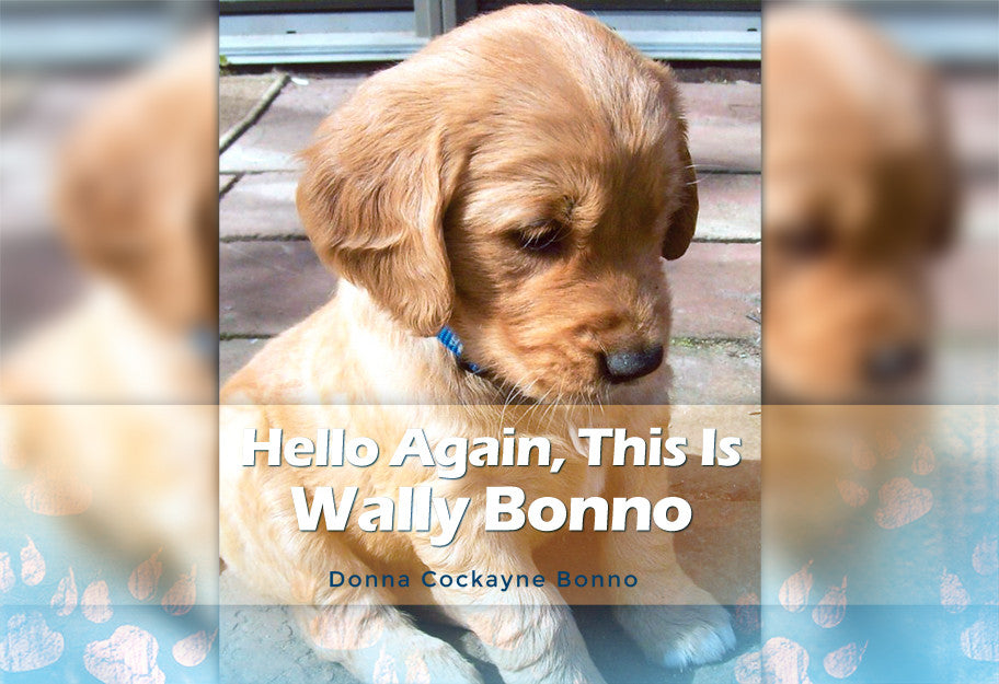 Hello Again, This Is Wally Bonno
