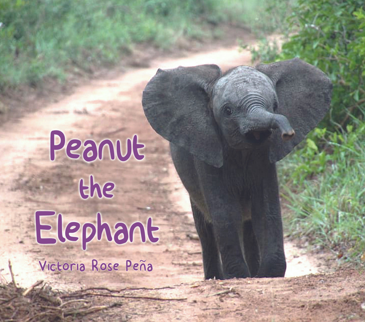 Peanut The Elephant