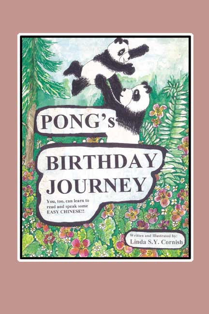 Pong's Birthday Journey