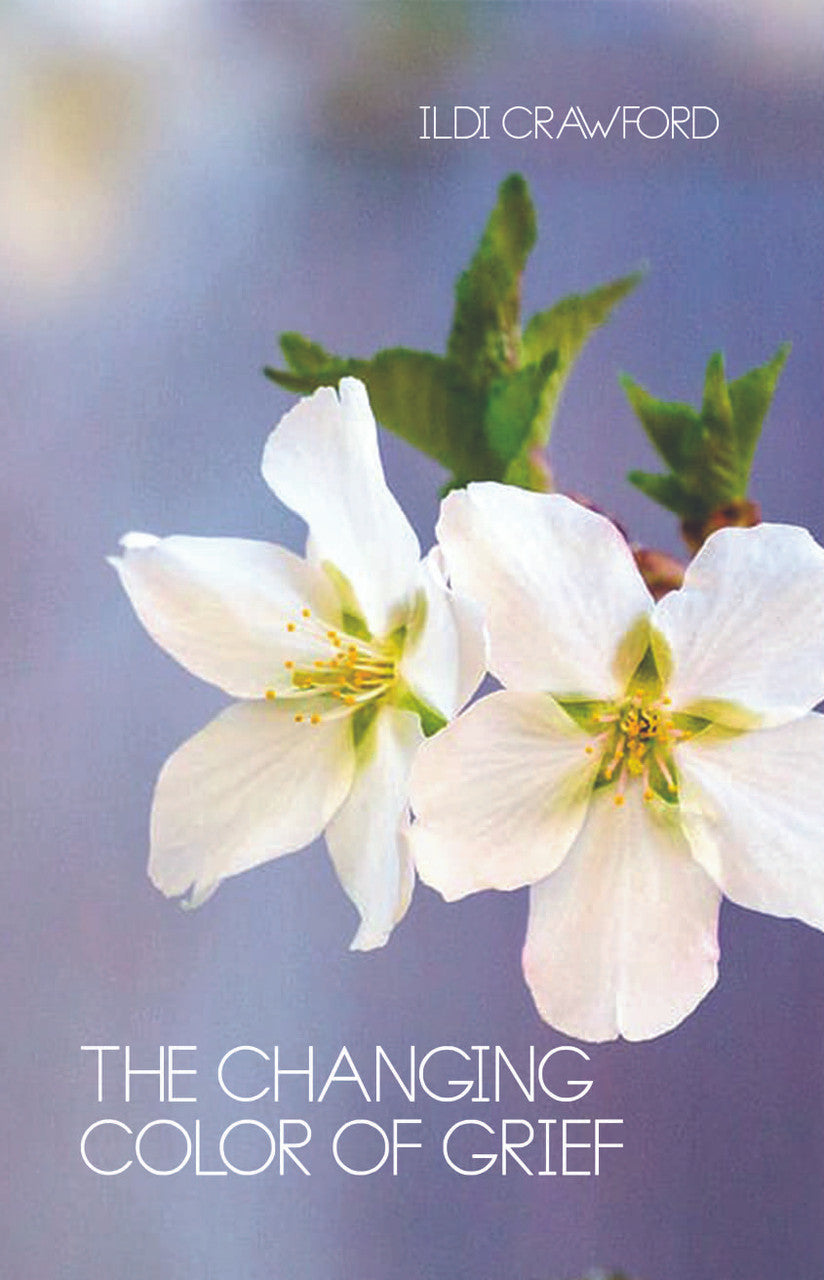 Grieve Color The Changing Color Of Grief – Dorrance Bookstore