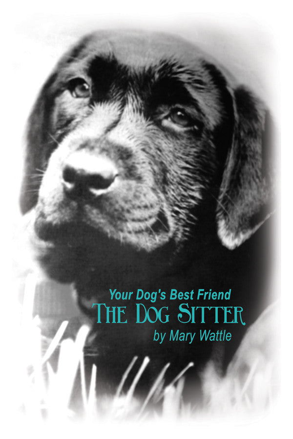 Your Dog's Best Friend: The Dog Sitter